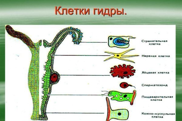 Правильная ссылка онион кракен