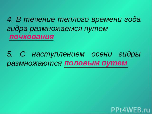 Кракен наркоз магазин